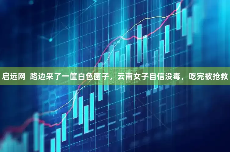 启远网  路边采了一筐白色菌子，云南女子自信没毒，吃完被抢救