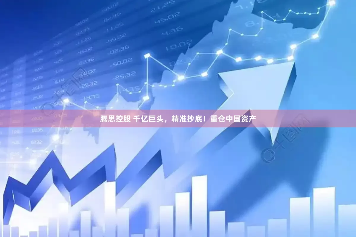 腾思控股 千亿巨头，精准抄底！重仓中国资产